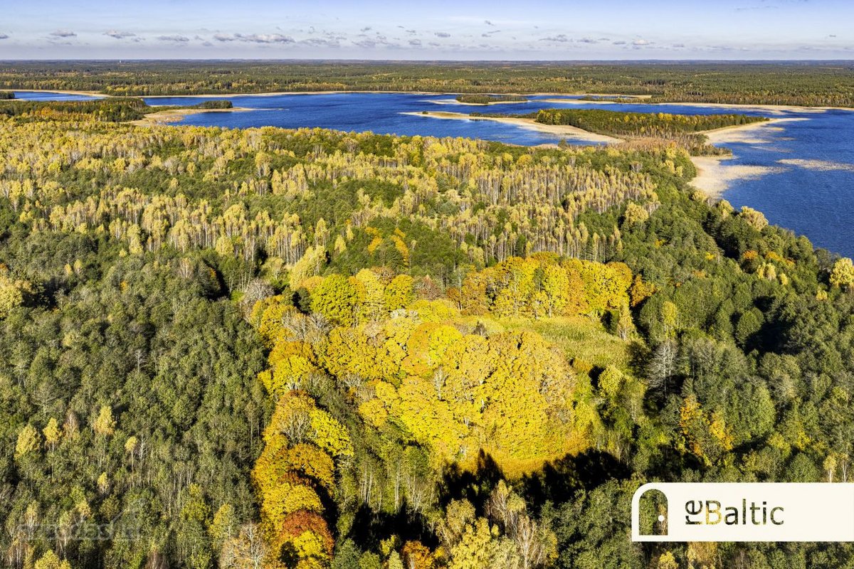 97.9 ha sklypas su pusiasaliu Stirnių ežere - nuotraukos Nr. 22