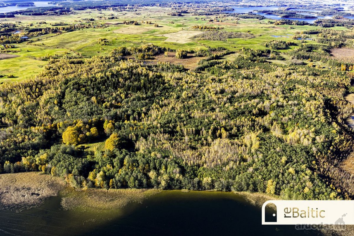 97.9 ha sklypas su pusiasaliu Stirnių ežere - nuotraukos Nr. 24