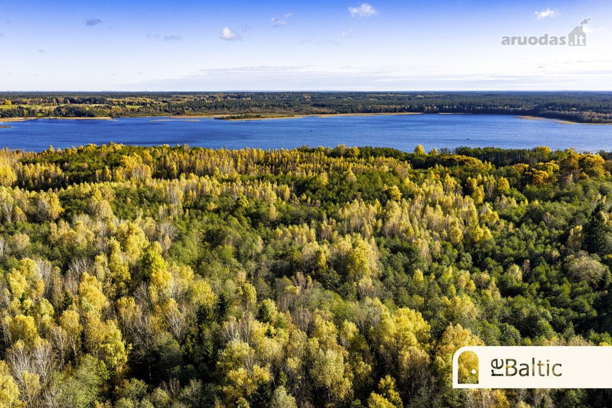 97.9 ha sklypas su pusiasaliu Stirnių ežere - nuotraukos Nr. 28