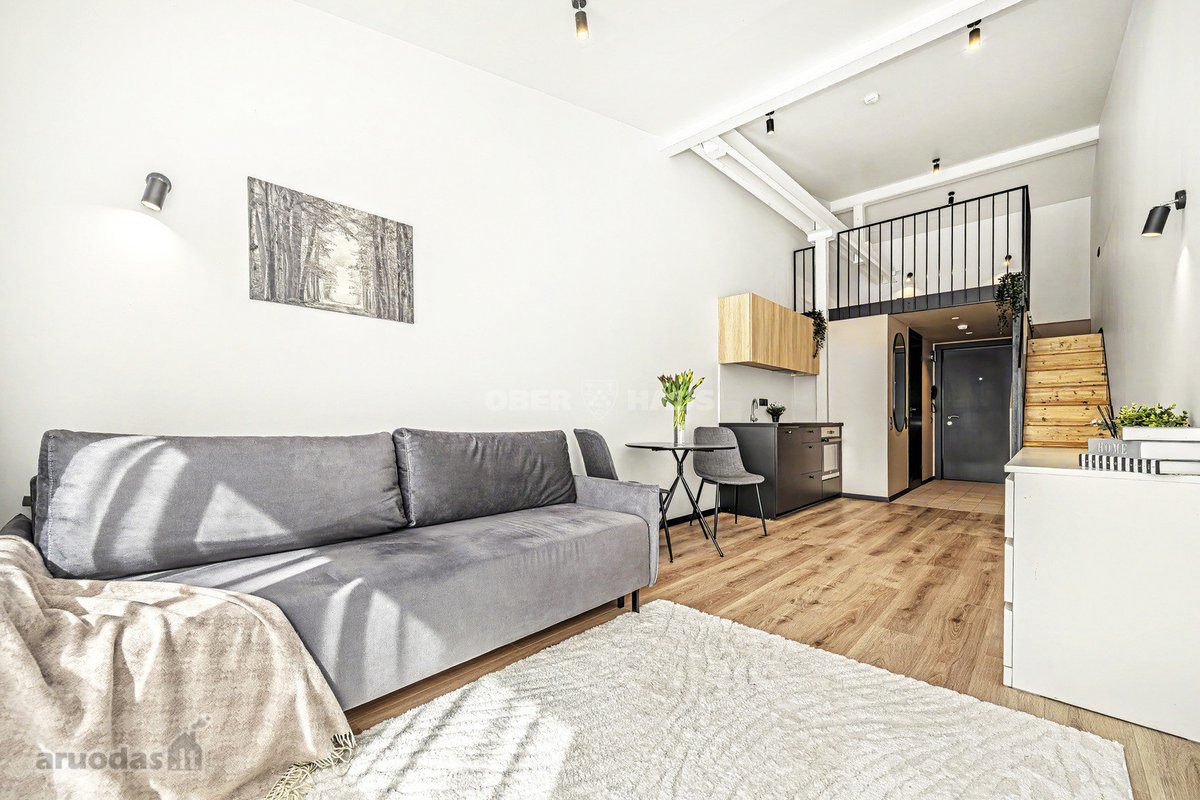 Parduodamas Išskirtinis Loftas Naujamiestyje, - nuotraukos Nr. 3