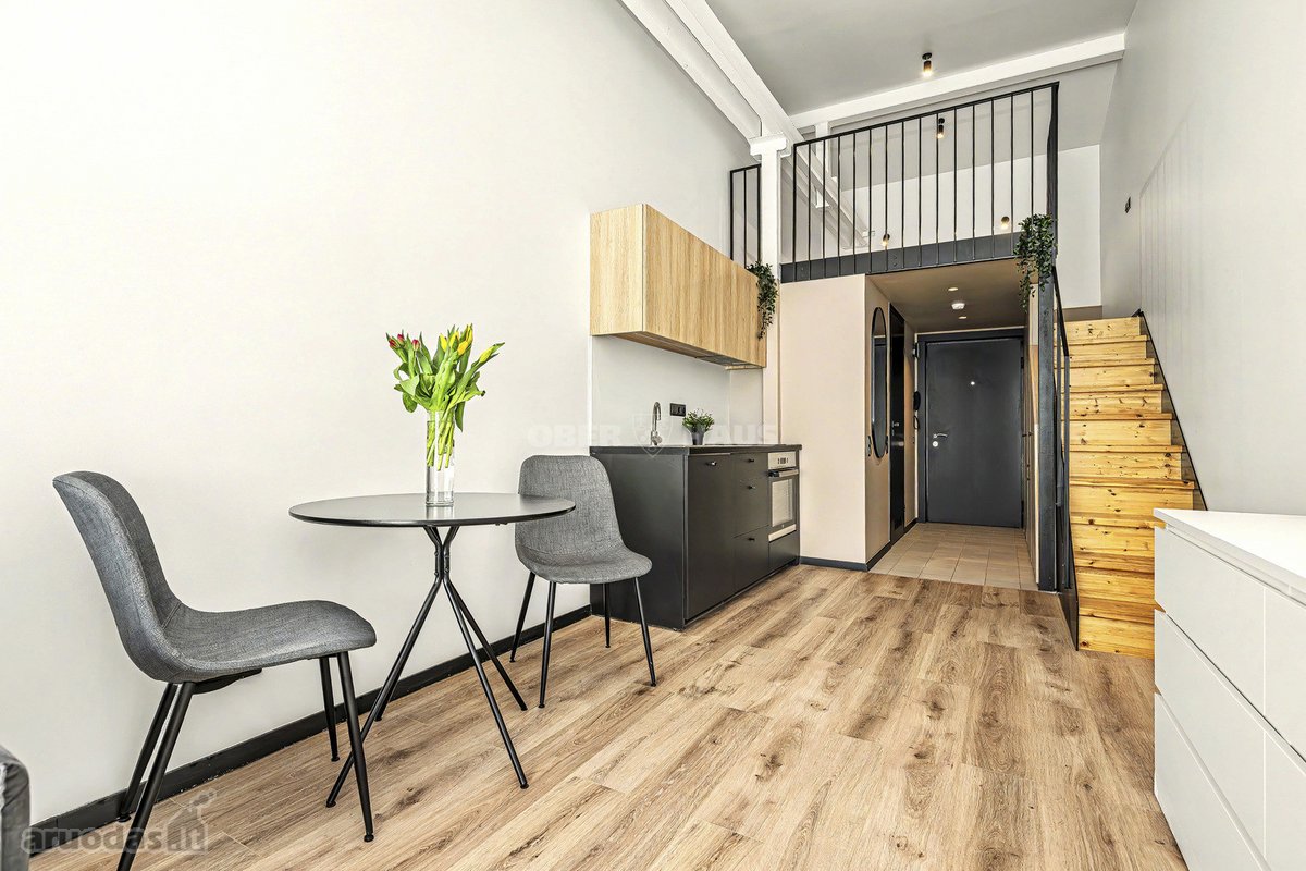 Parduodamas Išskirtinis Loftas Naujamiestyje, - nuotraukos Nr. 15