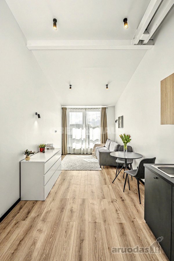 Parduodamas Išskirtinis Loftas Naujamiestyje, - nuotraukos Nr. 16