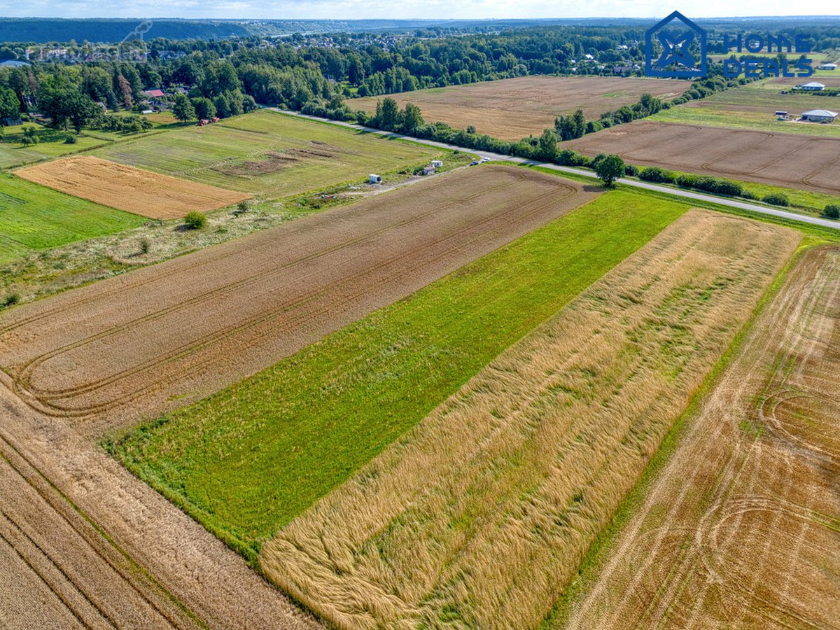 Parduodamas žemės ūkio paskirties sklypas - nuotraukos Nr. 8