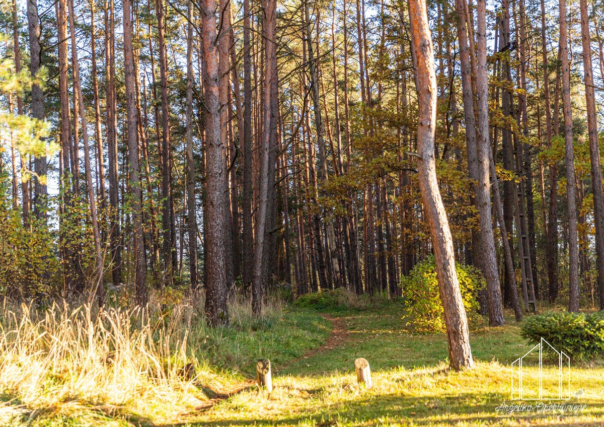 2 Kambarių Butas Popieriaus G. – Jūsų Naujų - nuotraukos Nr. 26