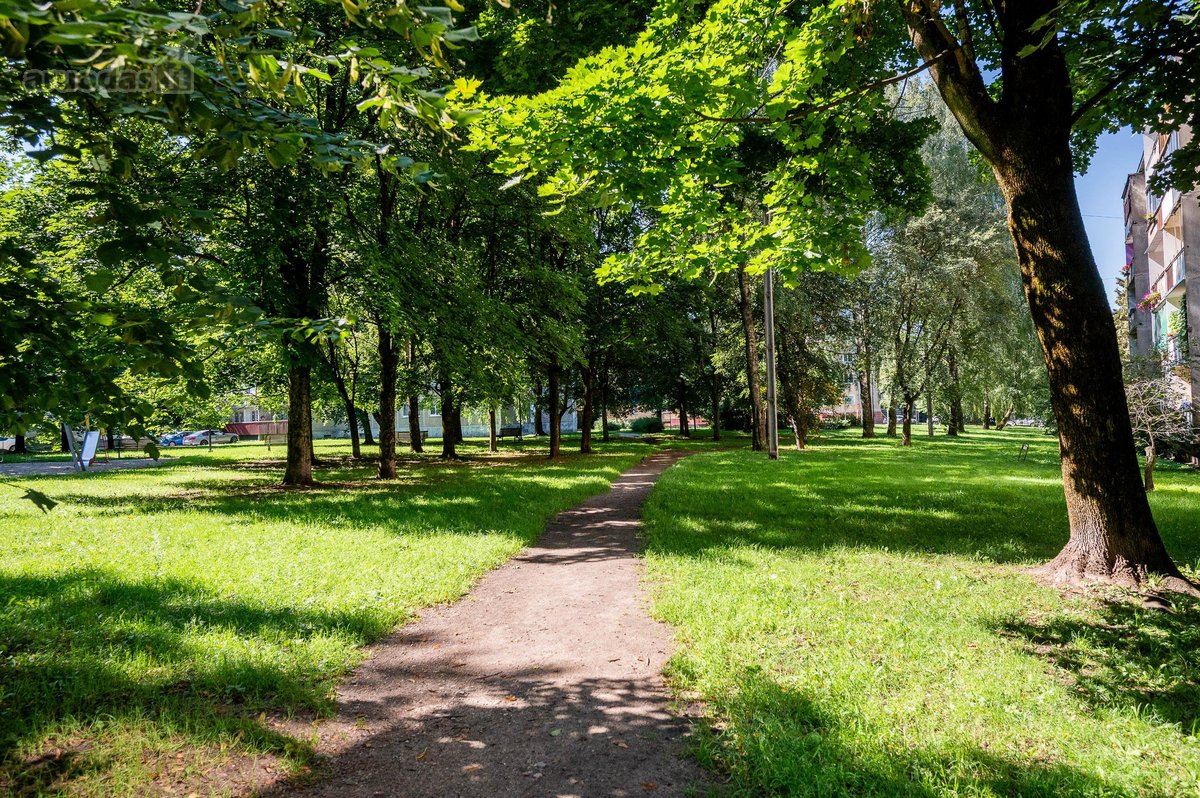 Parduodamas 2 Kambarių Butas Naujamiestyje – - nuotraukos Nr. 10