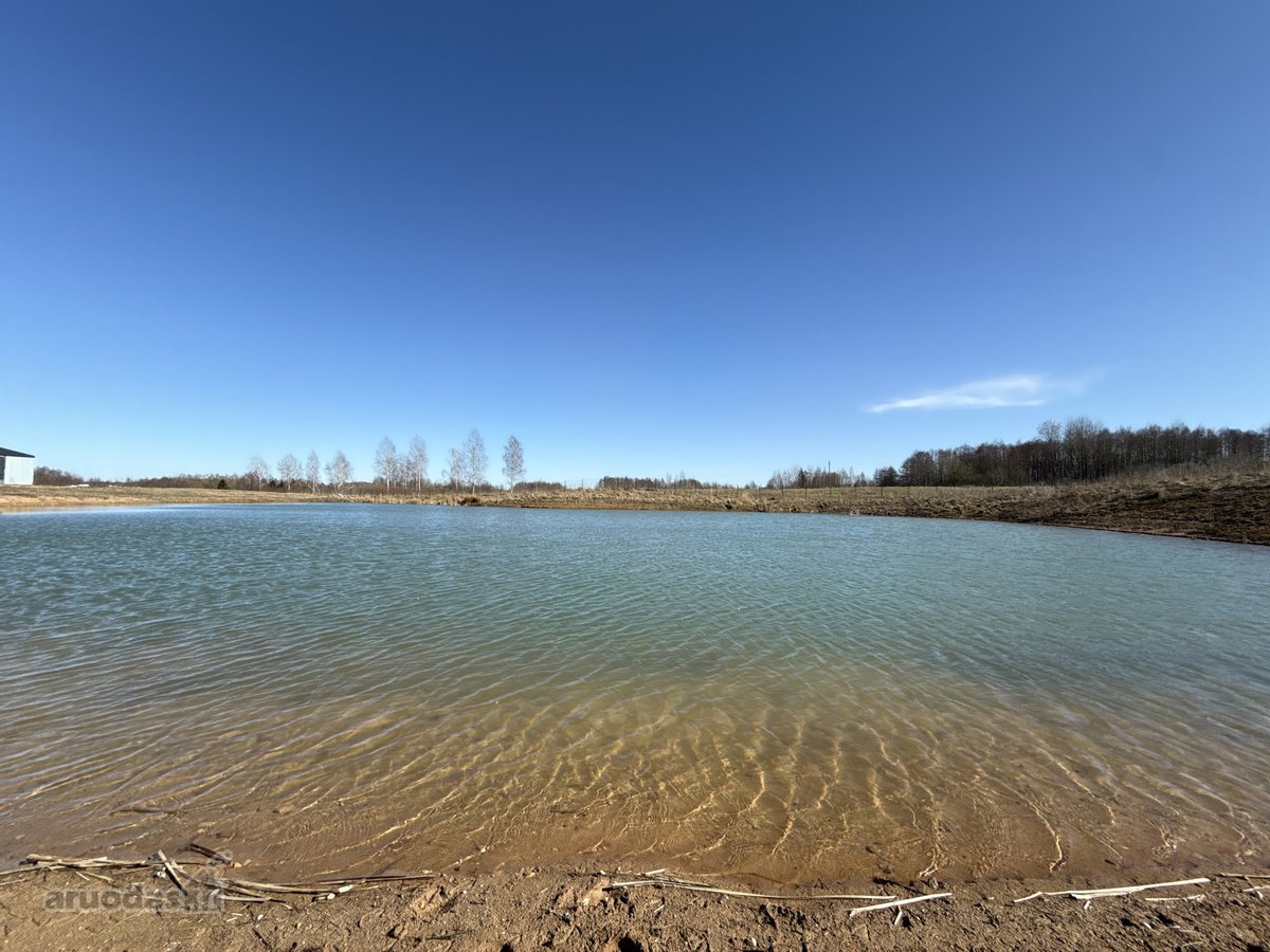 Išskirtinė galimybė įsigyti vilą Molėtų m. - nuotraukos Nr. 11