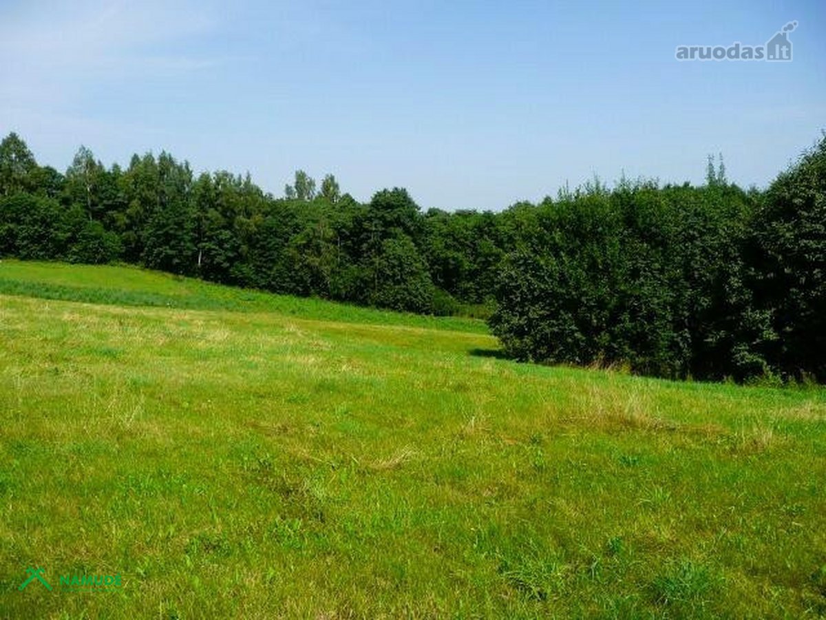Išskirtinis 2,6 Ha Sklypas Zarasų Krašte – 23 - nuotraukos Nr. 4