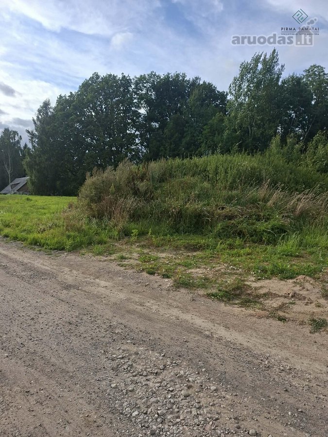 Patrauklioje vietoje prie miškelio, ramiame - nuotraukos Nr. 6