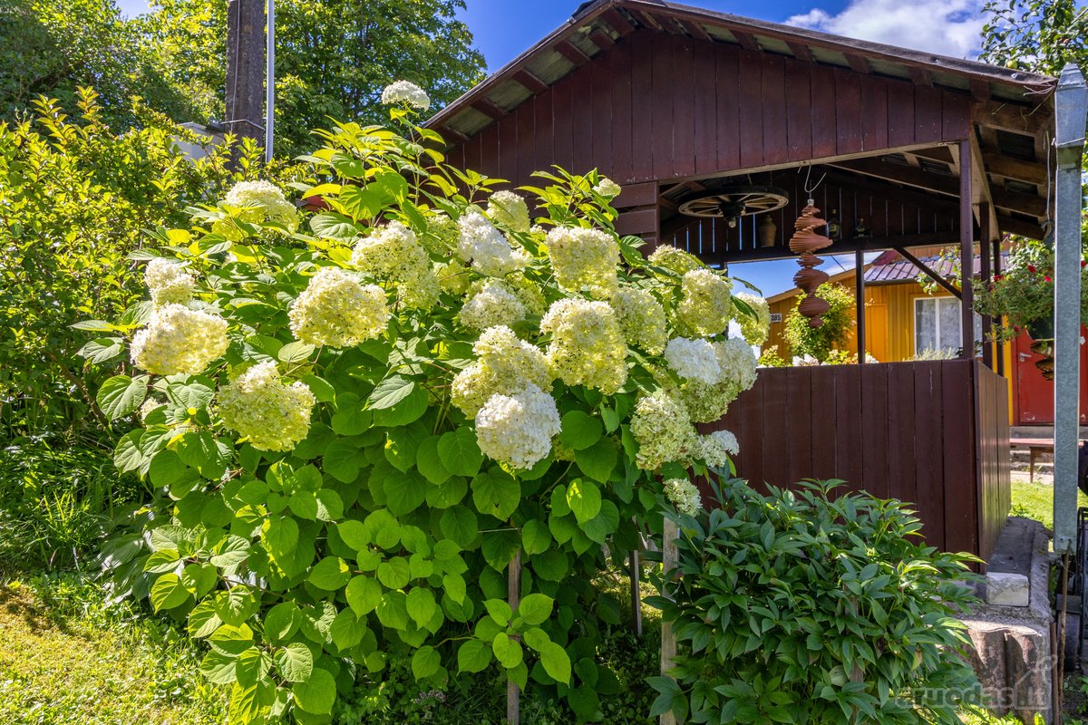 Parduodamas dviejų sklypų junginys su sodo - nuotraukos Nr. 6