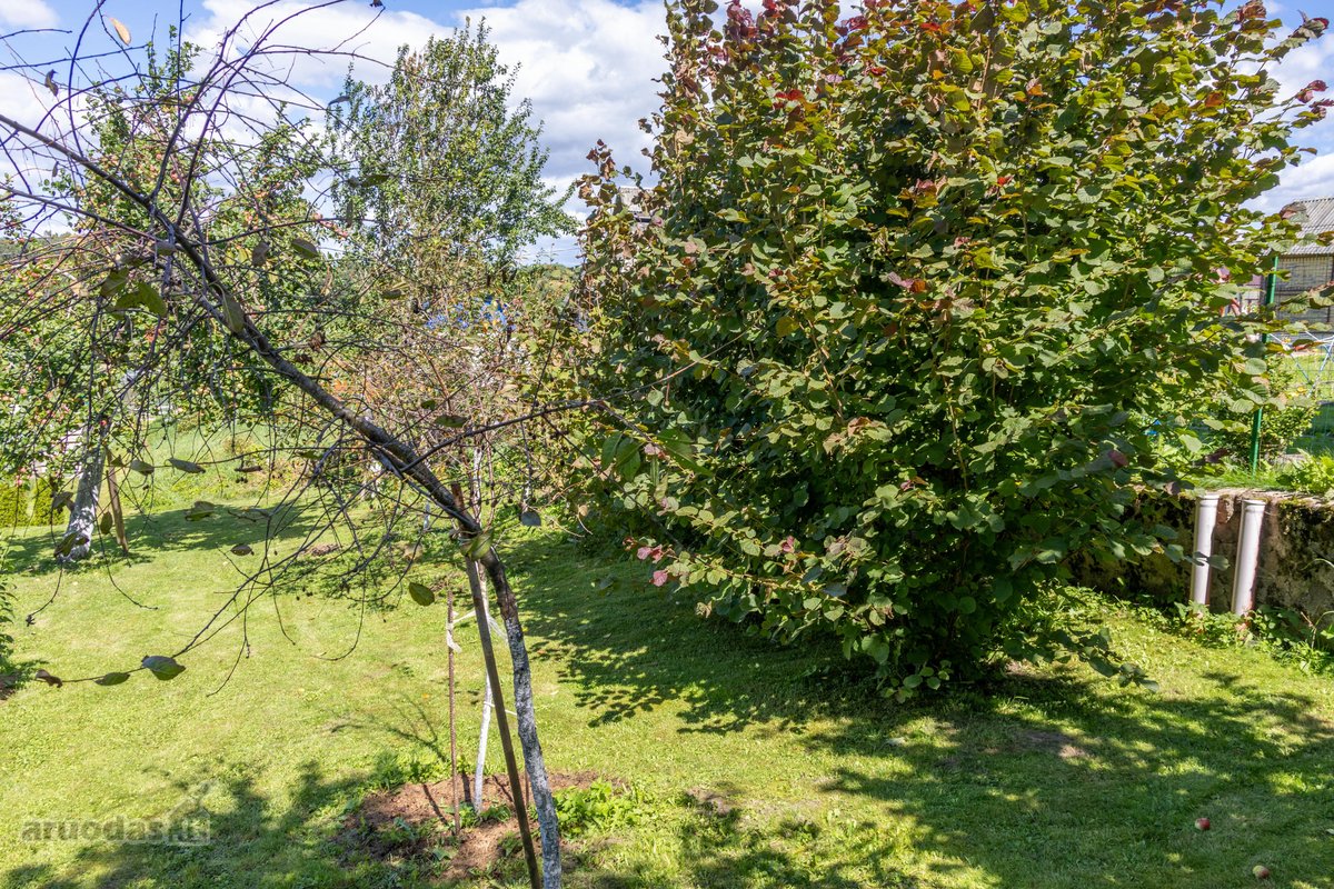 Parduodamas dviejų sklypų junginys su sodo - nuotraukos Nr. 8