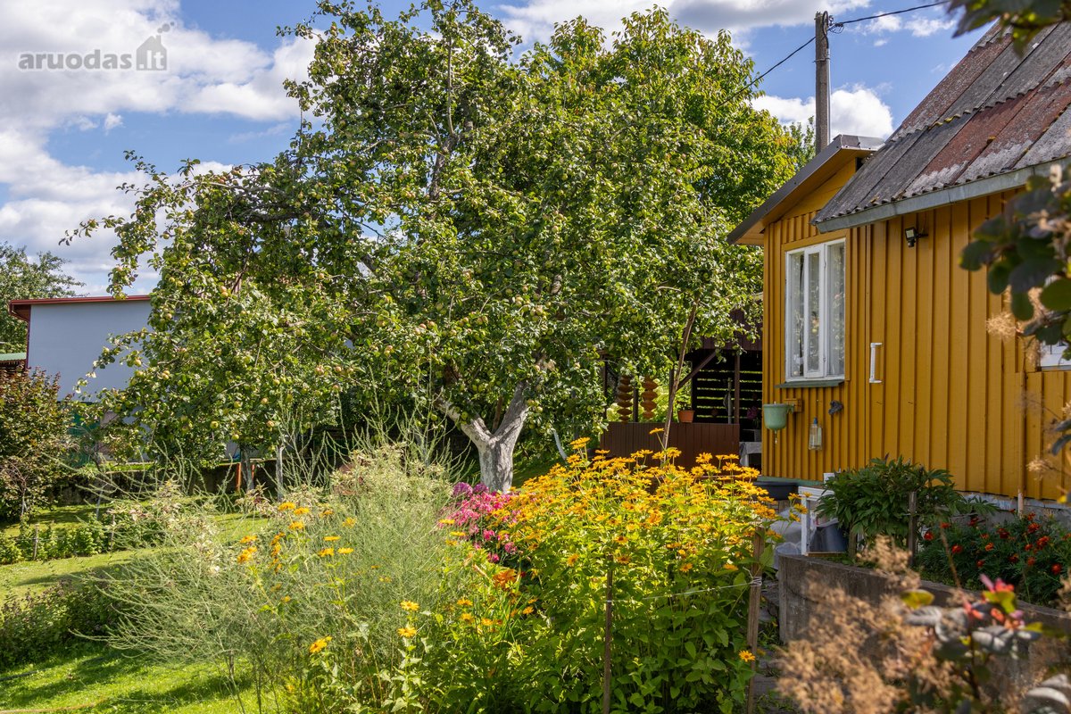 Parduodamas dviejų sklypų junginys su sodo - nuotraukos Nr. 27