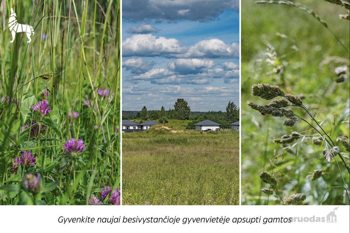 Parduodamas taisyklingos formos 13,34 arų - nuotraukos Nr. 3