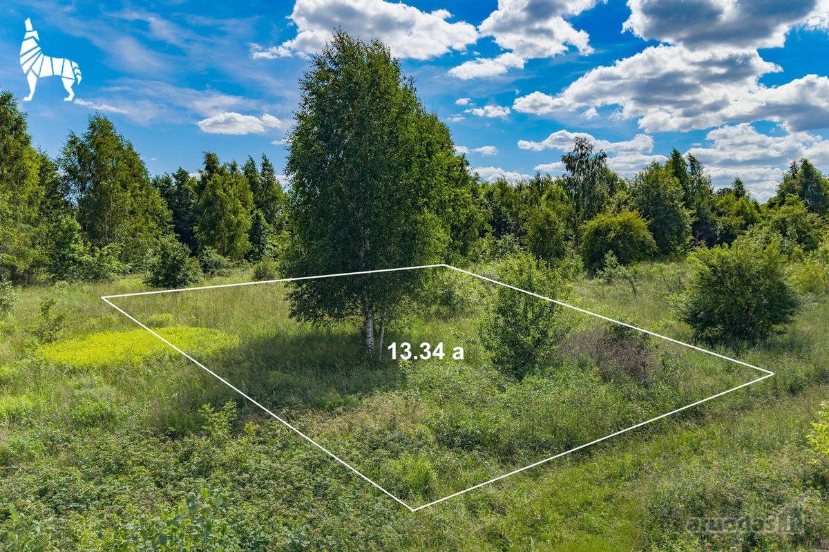 Parduodamas taisyklingos formos 13,34 arų - nuotraukos Nr. 5