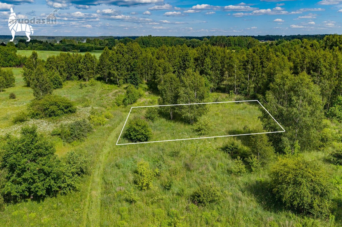 Parduodamas taisyklingos formos 13,34 arų - nuotraukos Nr. 6