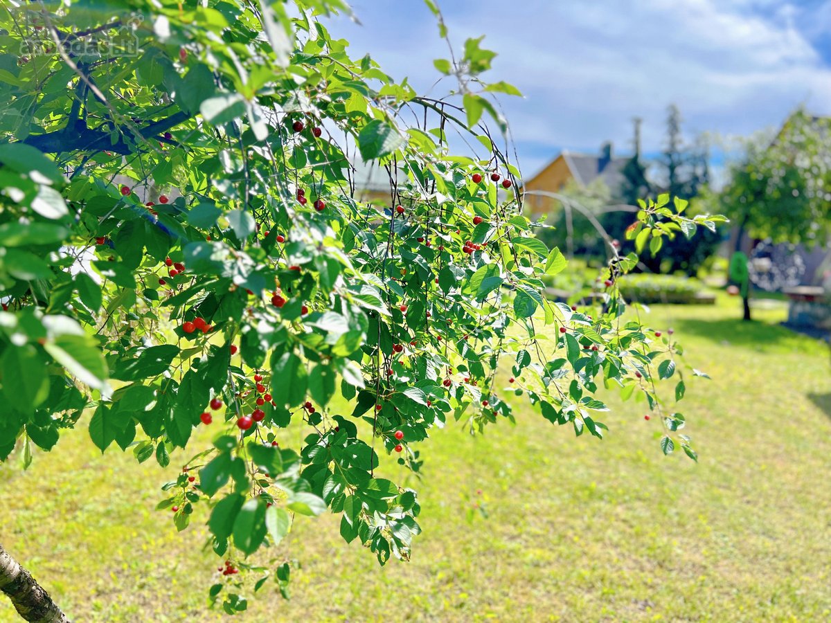 Parduodama namo dalis Kretingos centre – J. - nuotraukos Nr. 24