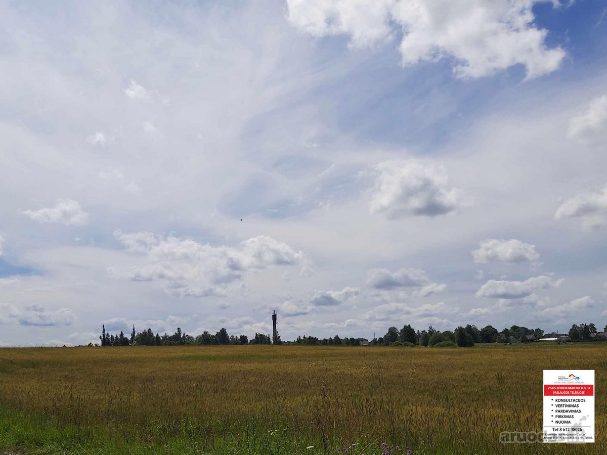 Parduodamas 7. 49ha žemės ūkio paskirties - nuotraukos Nr. 3