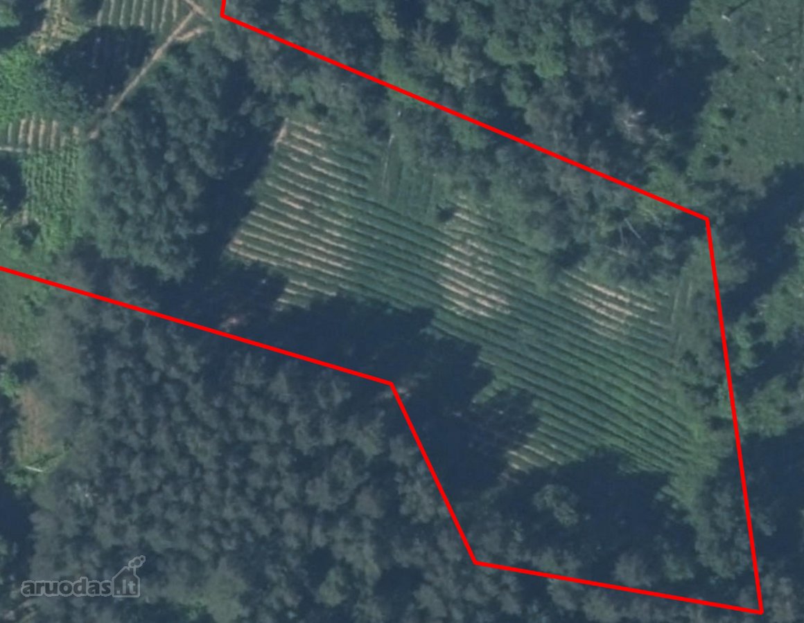 Parduodmas žemės sklypas Purvelių kaime. - nuotraukos Nr. 4