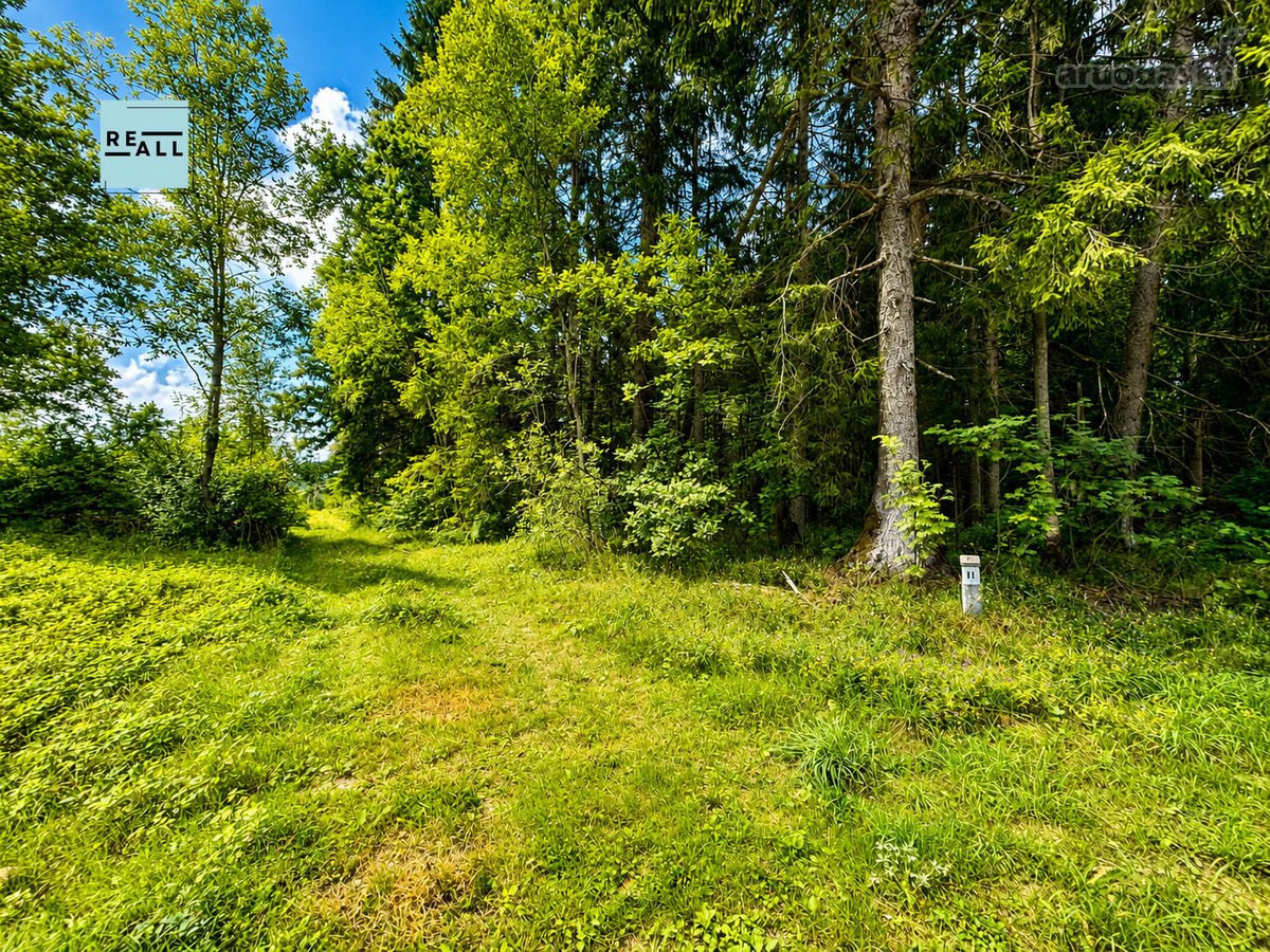 Tarp pušynų ir vingiuojančios Šventosios upės - nuotraukos Nr. 5