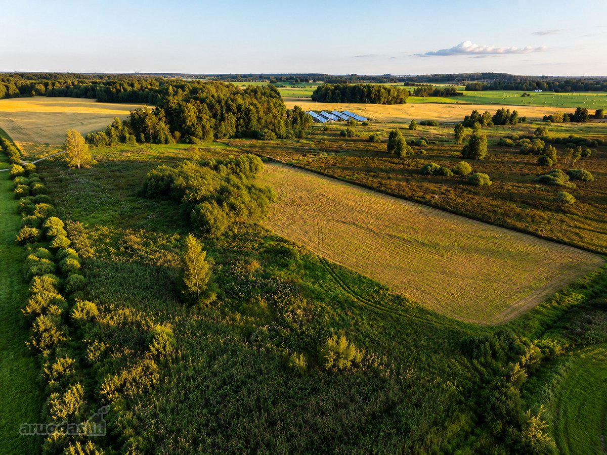 Parduodamas 1,55 Ha Žemės Ūkio Paskirties - nuotraukos Nr. 2