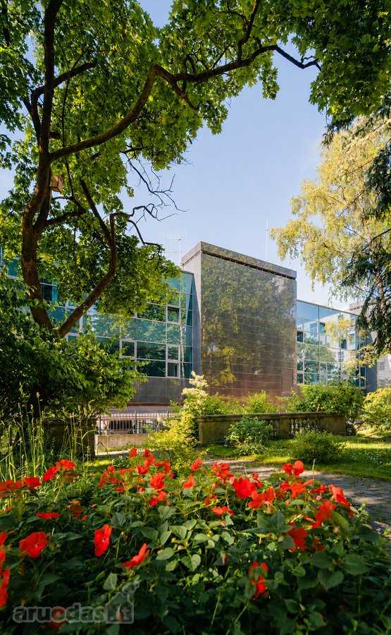 Studija Oficina projekto šiuolaikiniame - nuotraukos Nr. 9