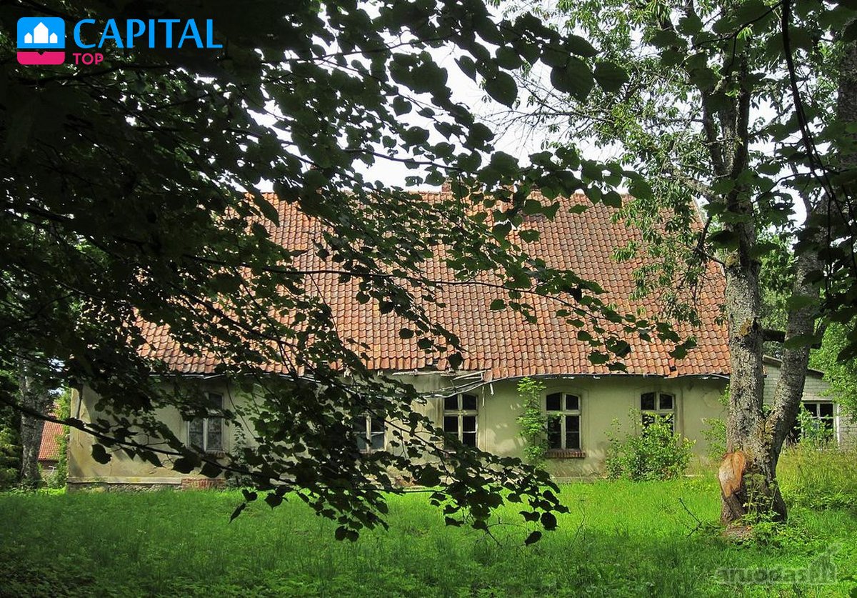 Pajuskite laiką sustojusį grožį: autentiškas, - nuotraukos Nr. 4