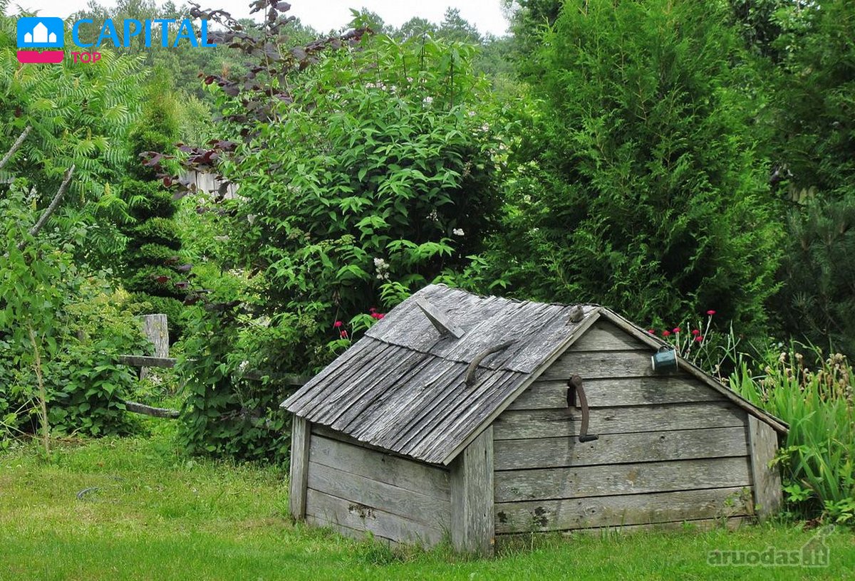 Pajuskite laiką sustojusį grožį: autentiškas, - nuotraukos Nr. 5