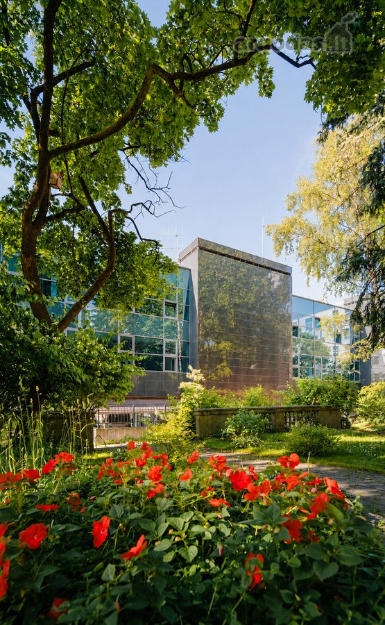 Studija Oficina projekto šiuolaikiniame - nuotraukos Nr. 13