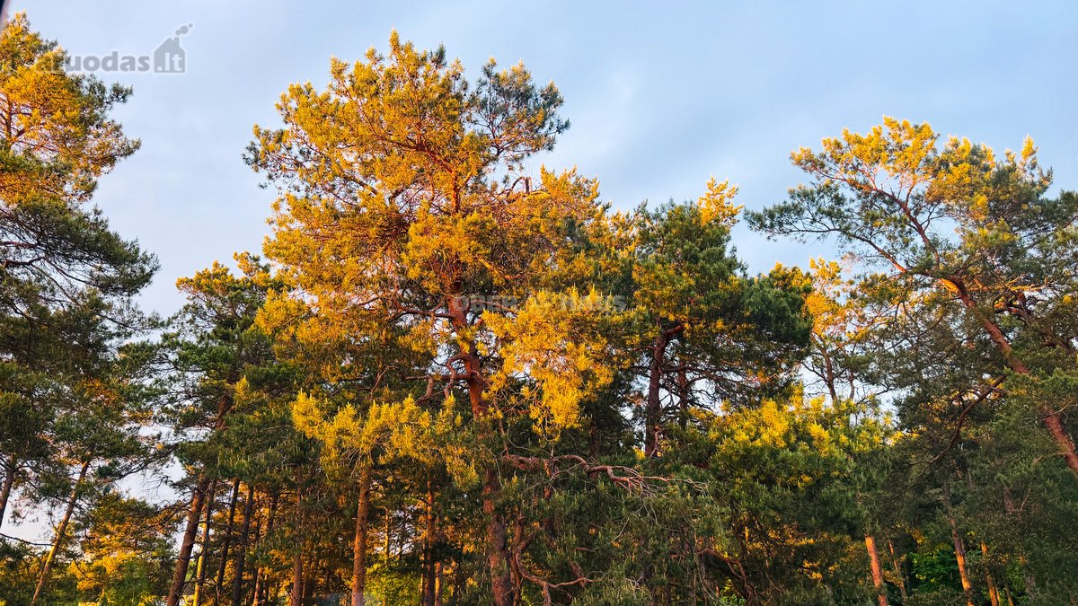 Šviesus ir visiškai rekonstruotas 4 kambarių - nuotraukos Nr. 18