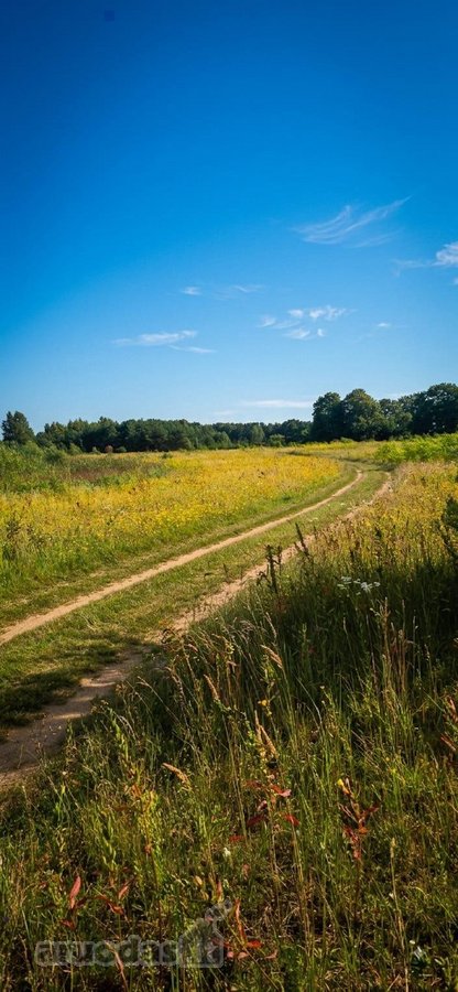 Išskirtinis 4,7 Ha Sklypas Klaipėdos Raj. - nuotraukos Nr. 2