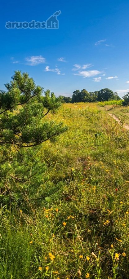 Išskirtinis 4,7 Ha Sklypas Klaipėdos Raj. - nuotraukos Nr. 3