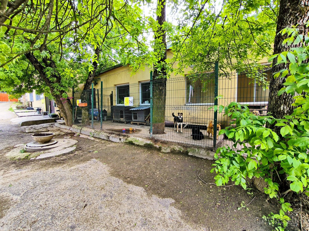 Parduodami du pastatai Rasų g., Vilniuje - nuotraukos Nr. 13