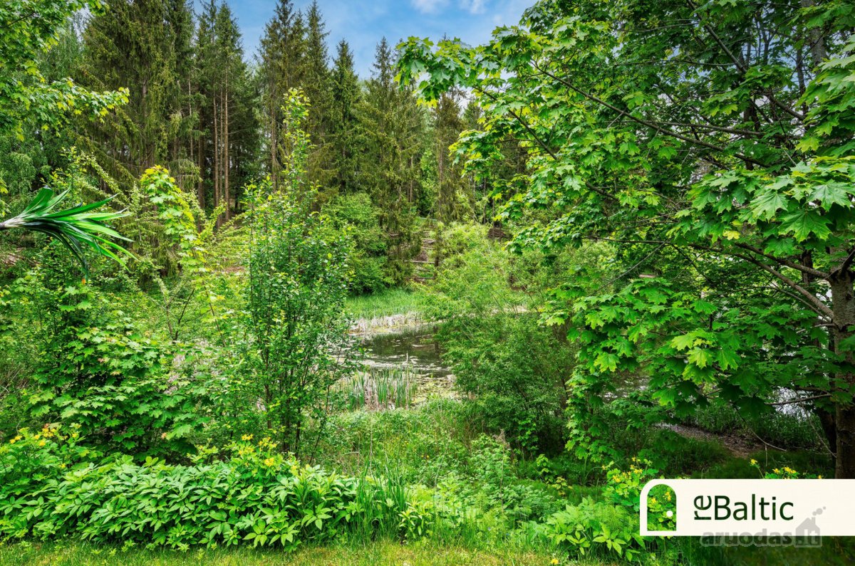 Unikalus namas Pavilnių regioniniame parke - - nuotraukos Nr. 37