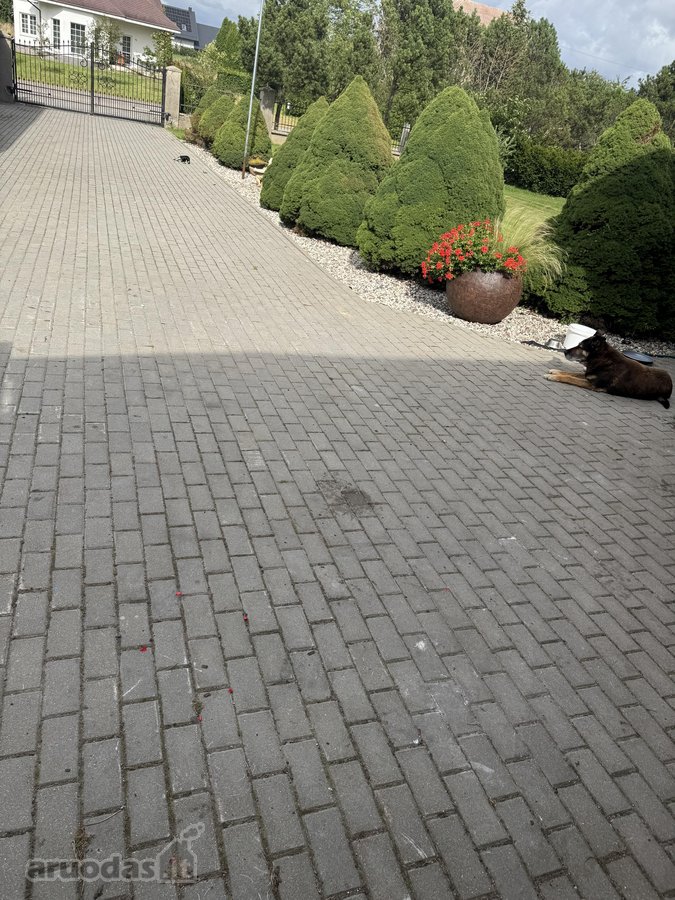 Darželis, mokykla, parduotuvė už 500 metrų. - nuotraukos Nr. 19