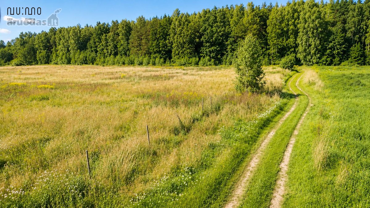 Vos 4,5 km nuo Liepkalnio Maksimos – - nuotraukos Nr. 3