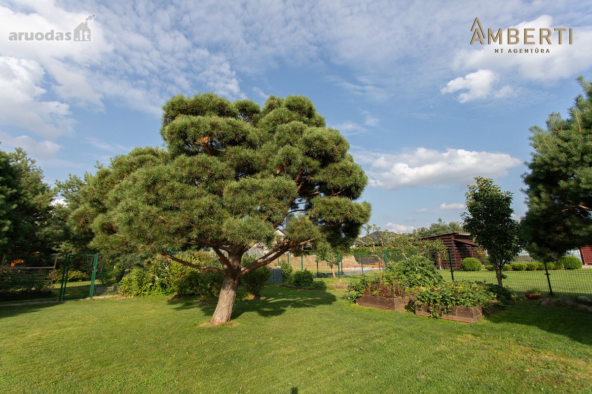 Amberti Nt agentūra parduoda išskirtinai - nuotraukos Nr. 25
