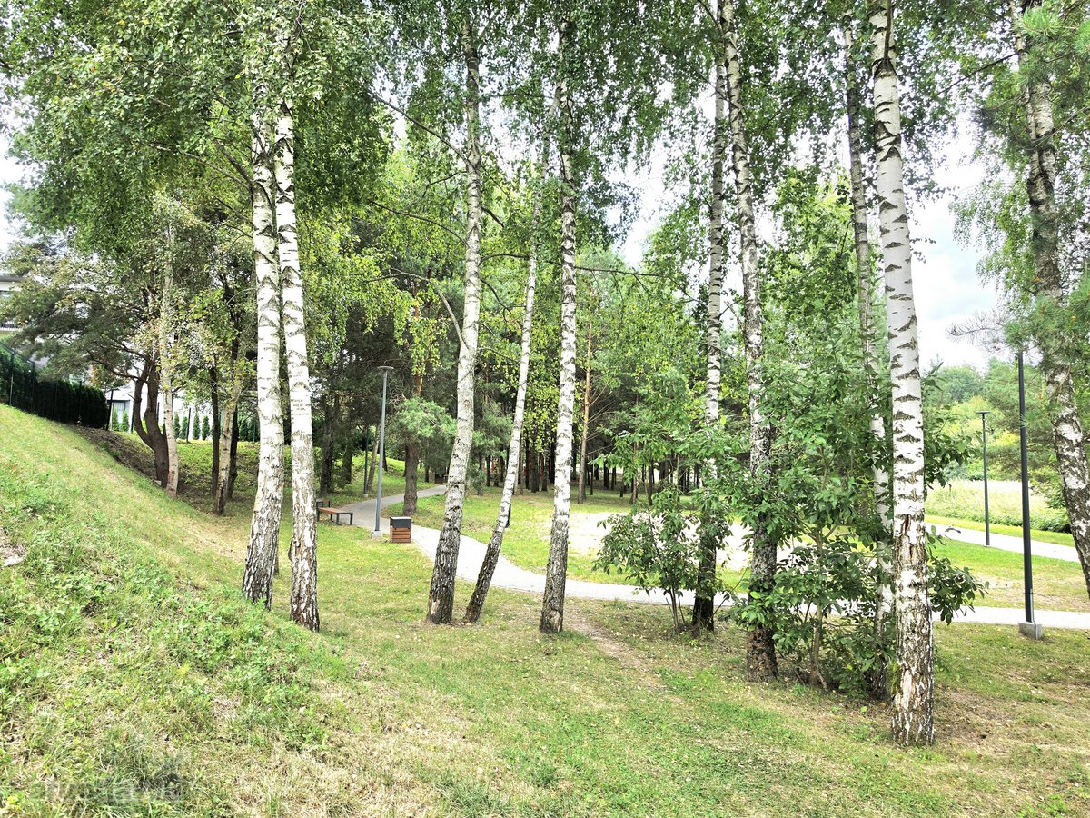 Išnuomojamas Labai Šviesus Ir Jaukus, Naujai - nuotraukos Nr. 26