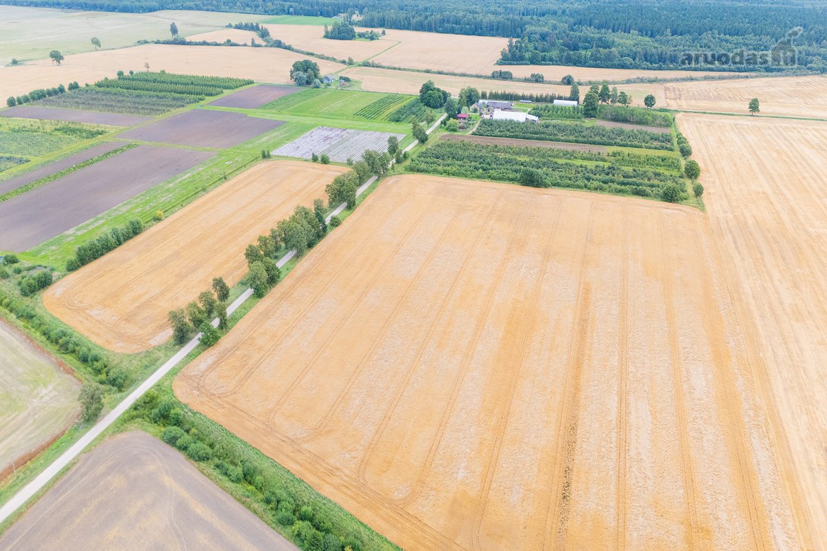Parduodamas 6,0271 ha žemės ūkio paskirties - nuotraukos Nr. 2