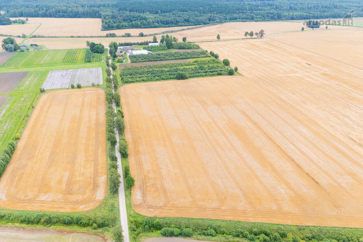 Parduodamas 6,0271 ha žemės ūkio paskirties - nuotraukos Nr. 3