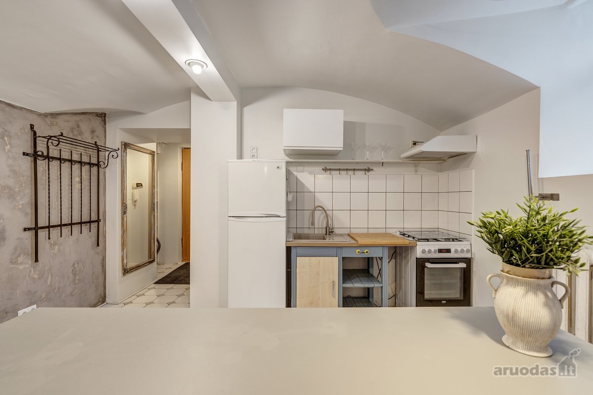 Išskirtinis studio tipo butas nuomai su - nuotraukos Nr. 17