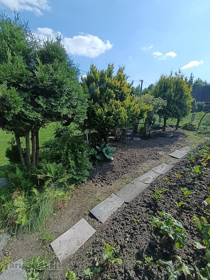 Kalvelių k. parduodamas ilgus metus šeimos - nuotraukos Nr. 38