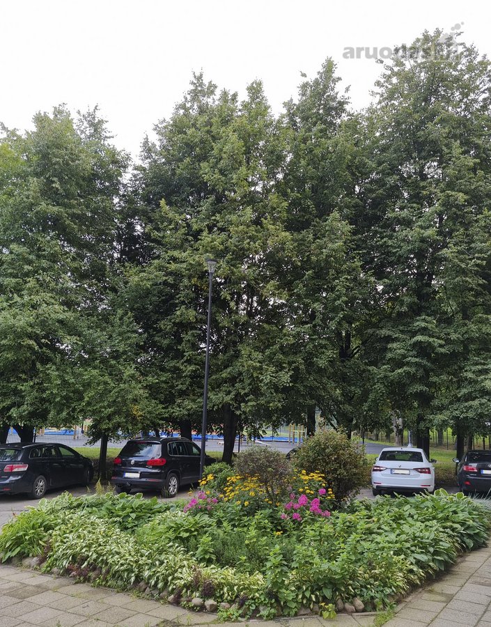 3 kambariai ir atskira virtuvė, 66,89 m², - nuotraukos Nr. 24