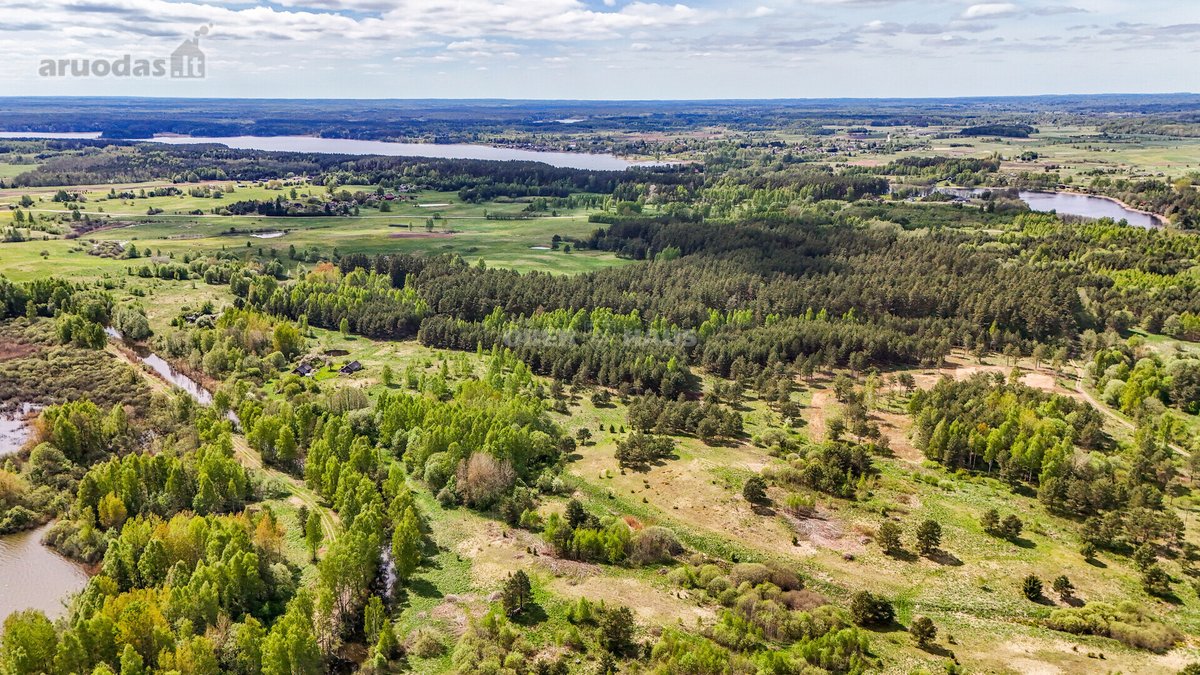 Parduodamas vienas iš šešių sklypų,(galima - nuotraukos Nr. 5