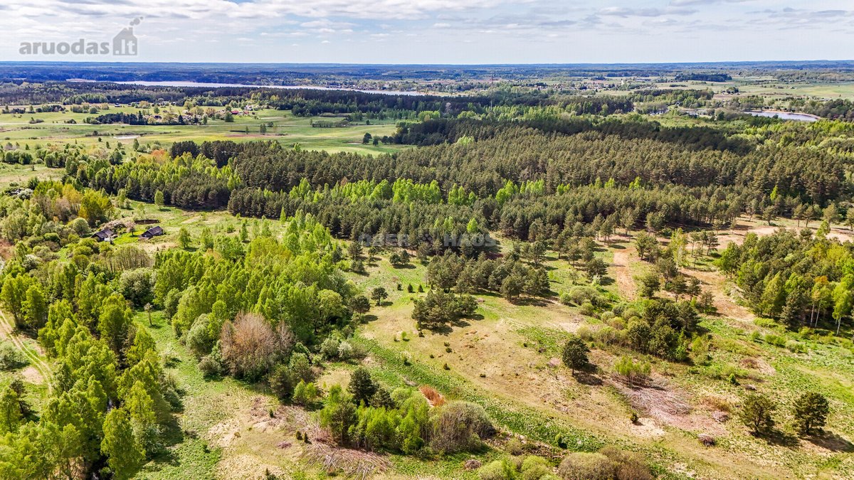 Parduodamas vienas iš šešių sklypų,(galima - nuotraukos Nr. 7