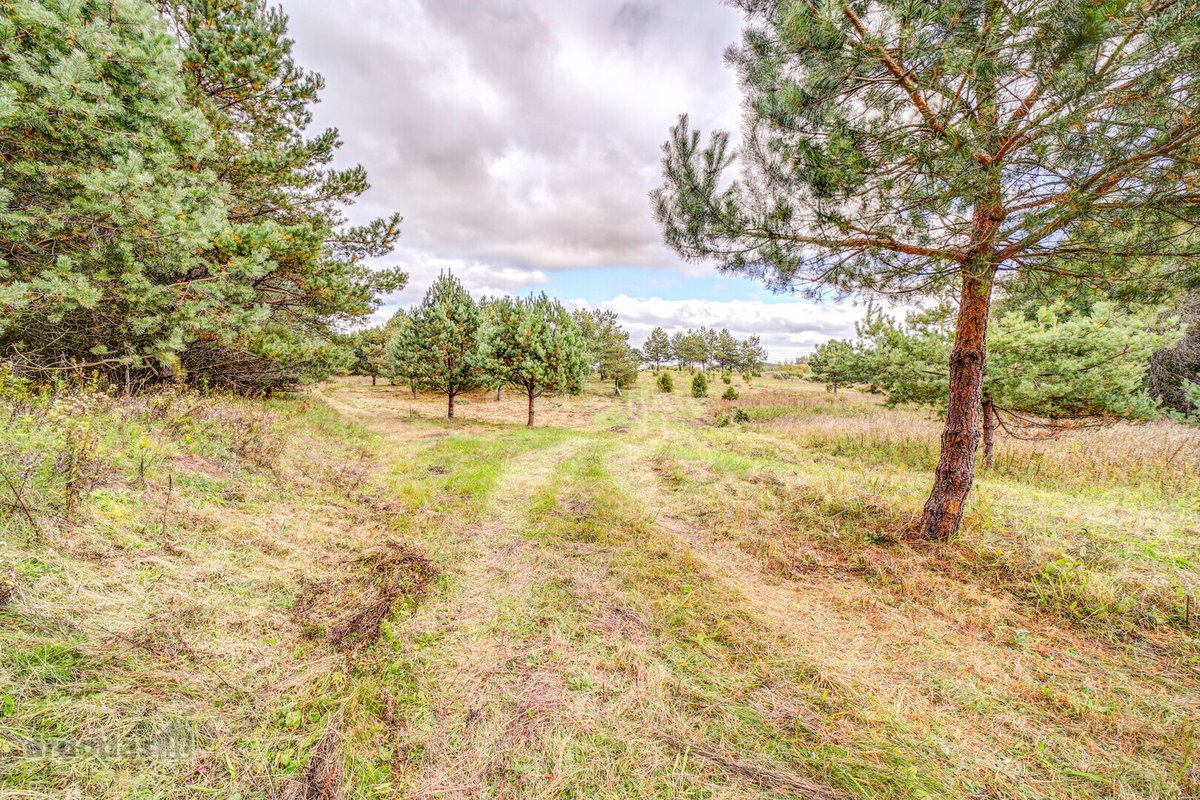 Parduodamas vienas iš šešių sklypų,(galima - nuotraukos Nr. 12