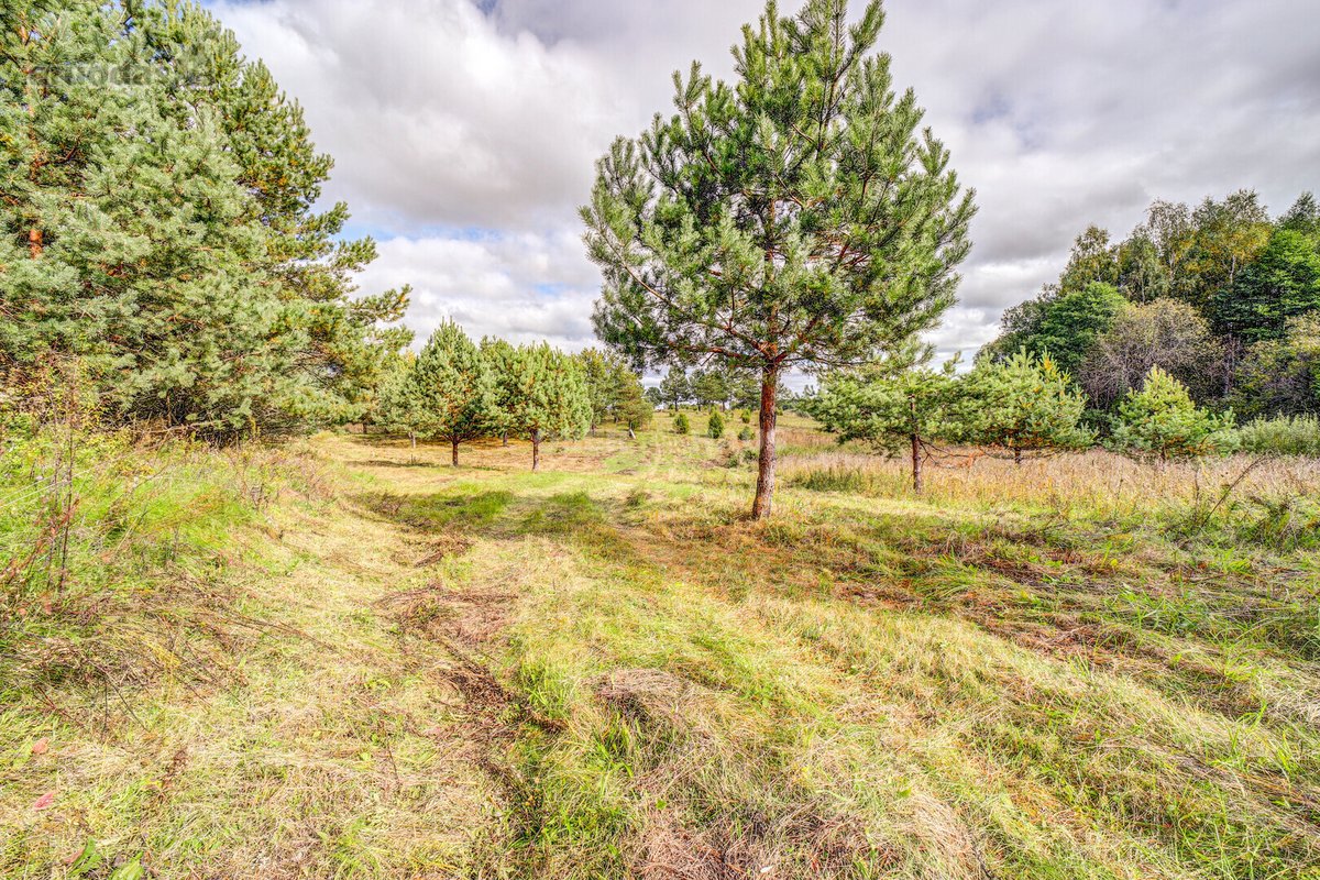 Parduodamas vienas iš šešių sklypų,(galima - nuotraukos Nr. 14