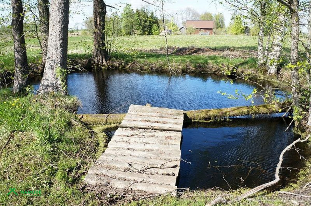 Parduodama jauki ir prižiūrėta sodyba - nuotraukos Nr. 10