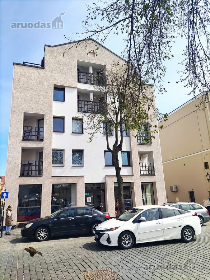 Išnuomojamas naujai suremontuotas 4 kambarių - nuotraukos Nr. 45