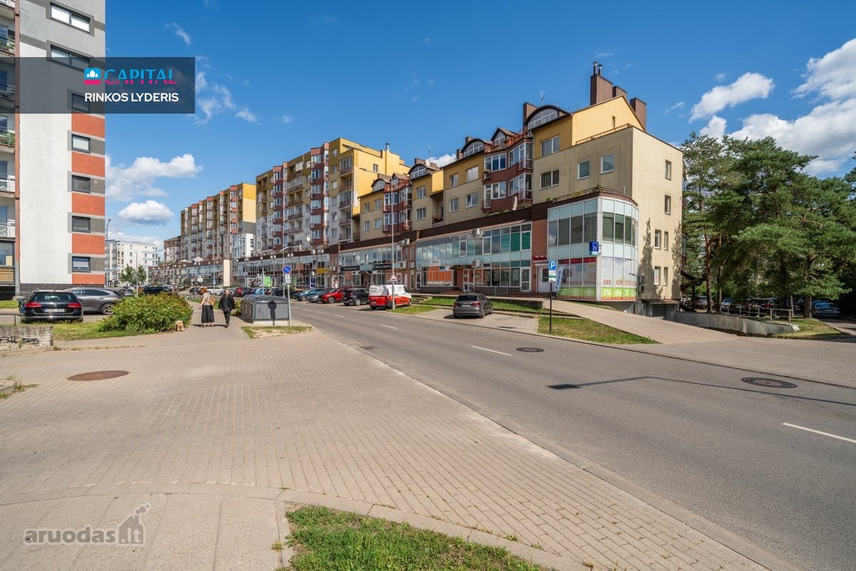Nuomojamas Jaukus 2 Kambarių Butas Šiaurės - nuotraukos Nr. 22