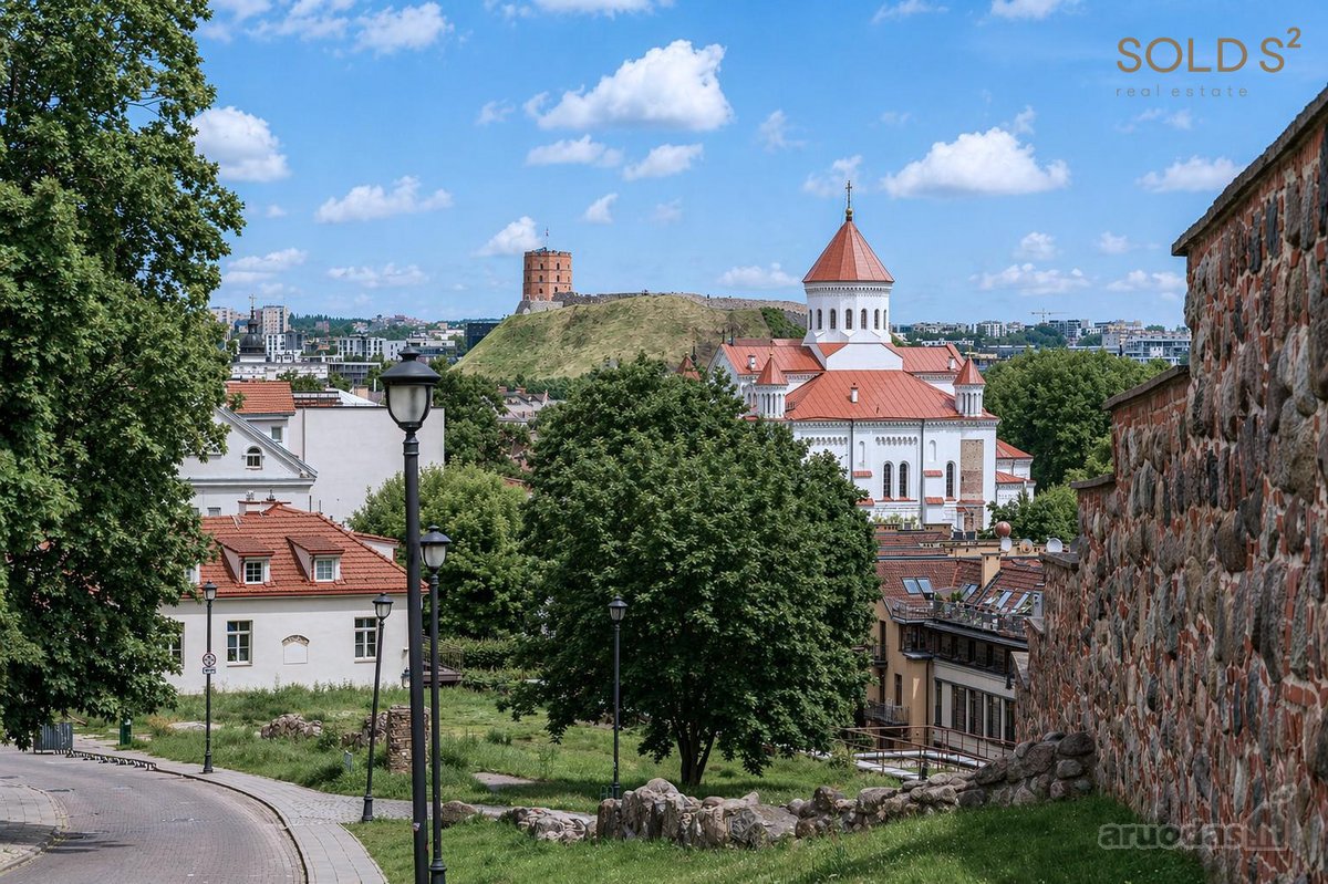 Aukščiausios klasės projekte „Sanguškų parkas - nuotraukos Nr. 23