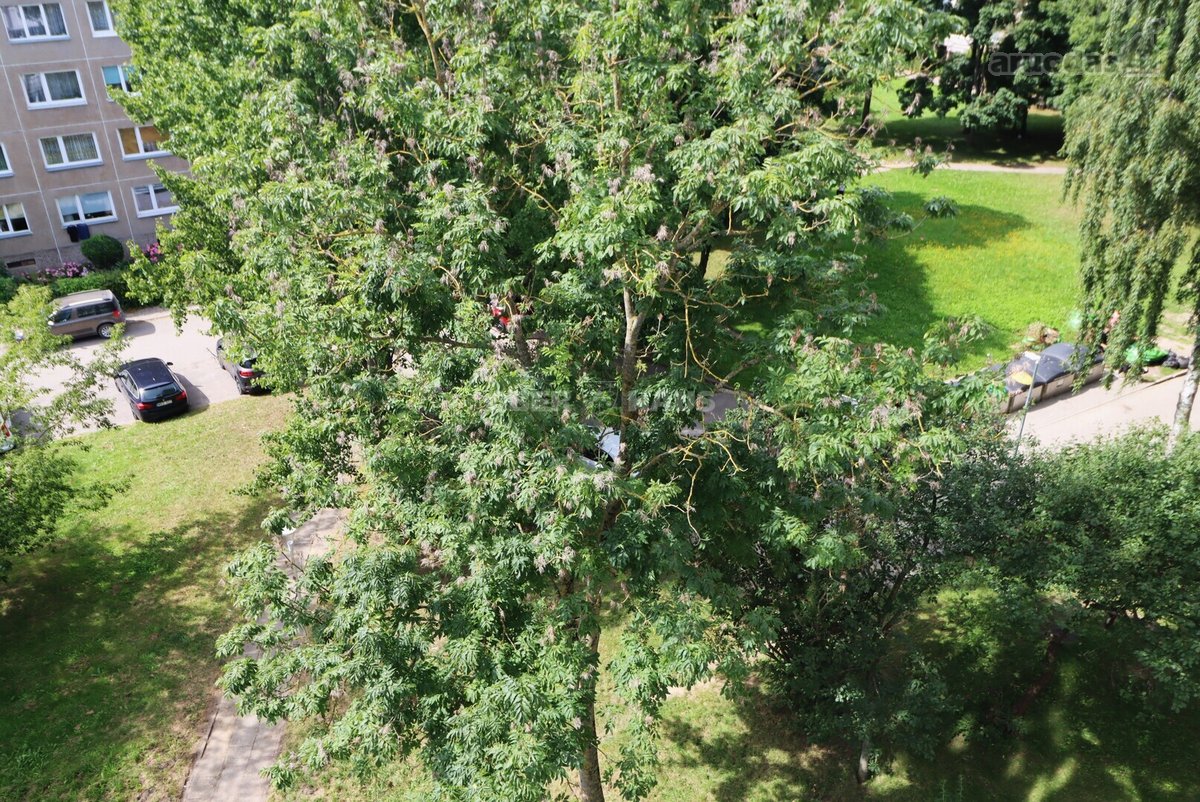 Parduodamas ekonomiškas, vieno kambario butas - nuotraukos Nr. 12